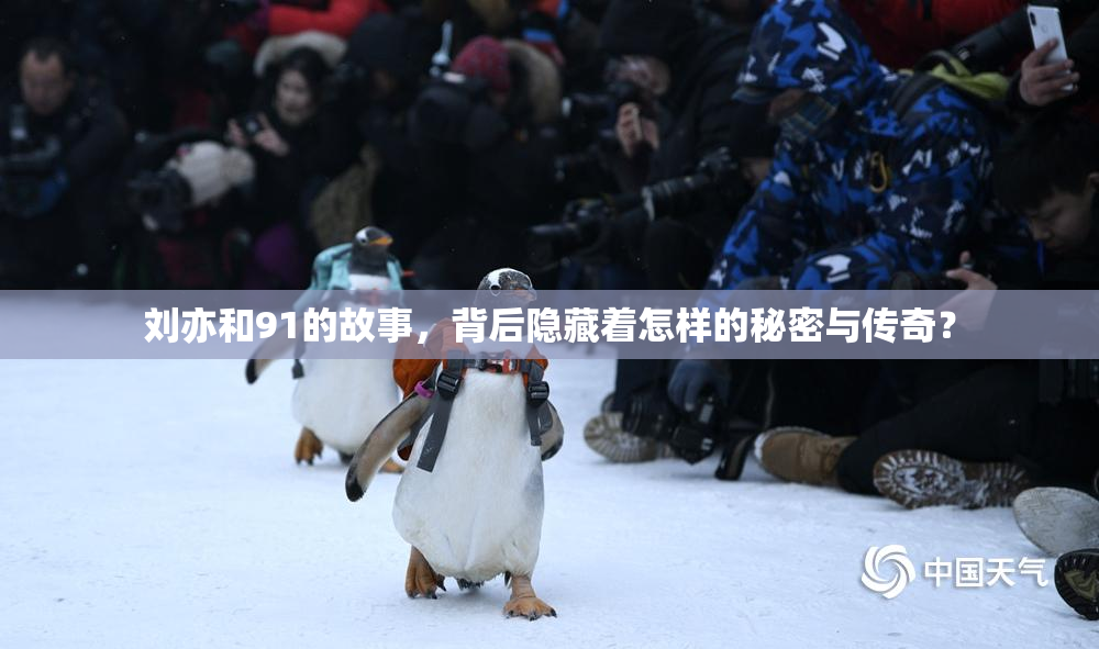 刘亦和91的故事，背后隐藏着怎样的秘密与传奇？
