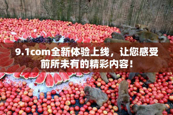 9.1com全新体验上线，让您感受前所未有的精彩内容！