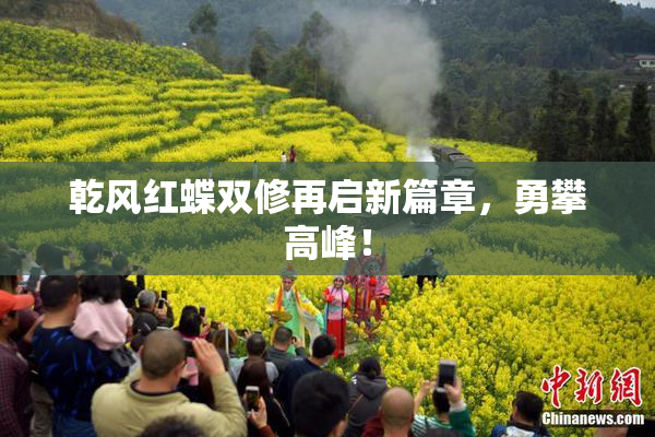 乾风红蝶双修再启新篇章，勇攀高峰！