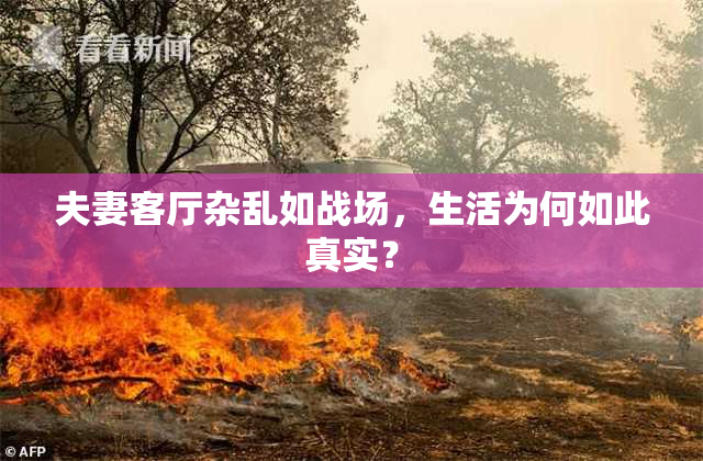 夫妻客厅杂乱如战场，生活为何如此真实？