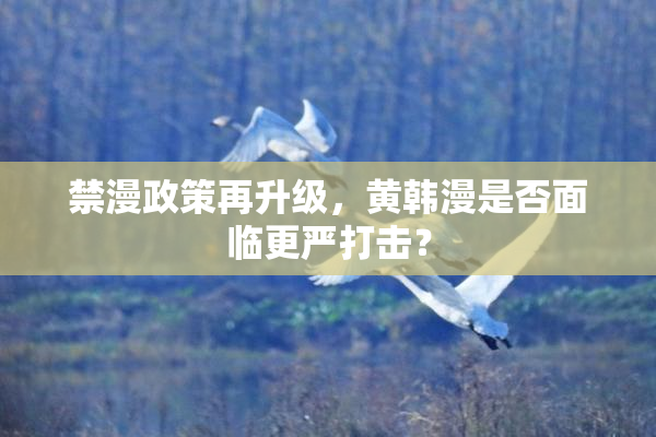 禁漫政策再升级，黄韩漫是否面临更严打击？