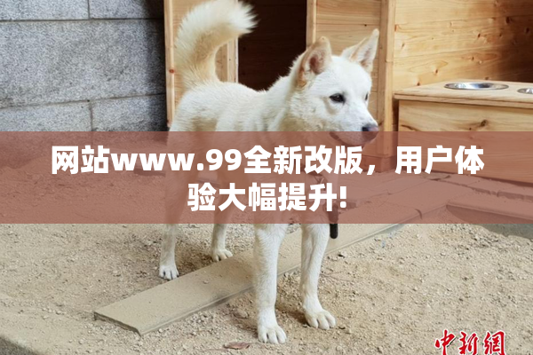 网站www.99全新改版，用户体验大幅提升!