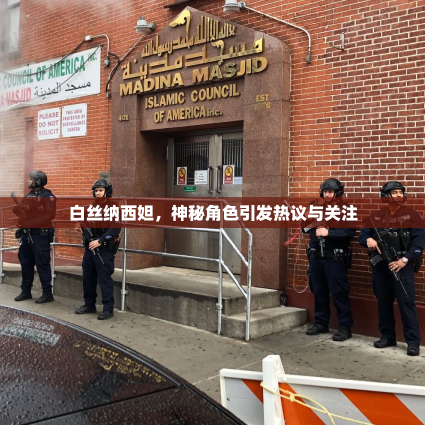 白丝纳西妲，神秘角色引发热议与关注