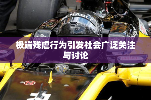 极端残虐行为引发社会广泛关注与讨论