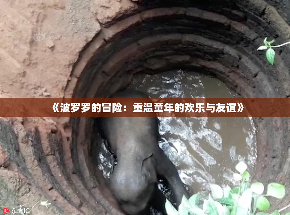 《波罗罗的冒险：重温童年的欢乐与友谊》