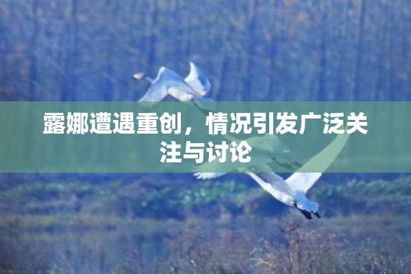 露娜遭遇重创，情况引发广泛关注与讨论
