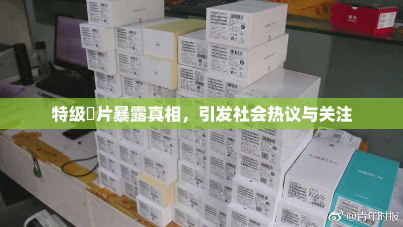 特级婬片暴露真相，引发社会热议与关注