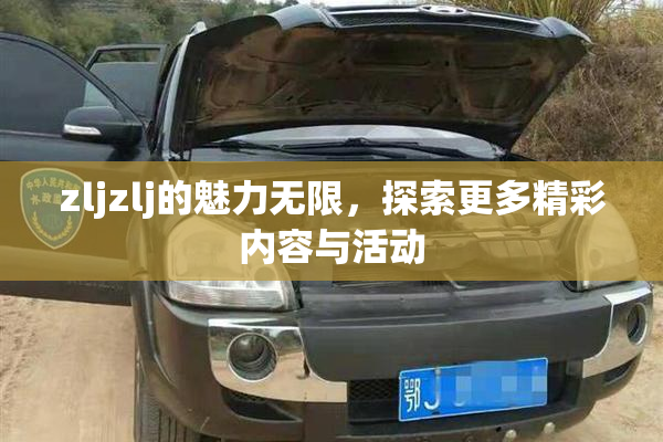 zljzlj的魅力无限，探索更多精彩内容与活动