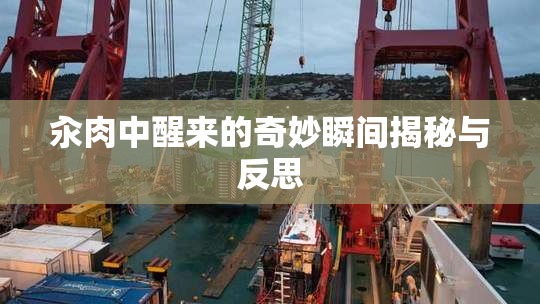 汆肉中醒来的奇妙瞬间揭秘与反思