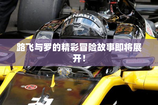 路飞与罗的精彩冒险故事即将展开！