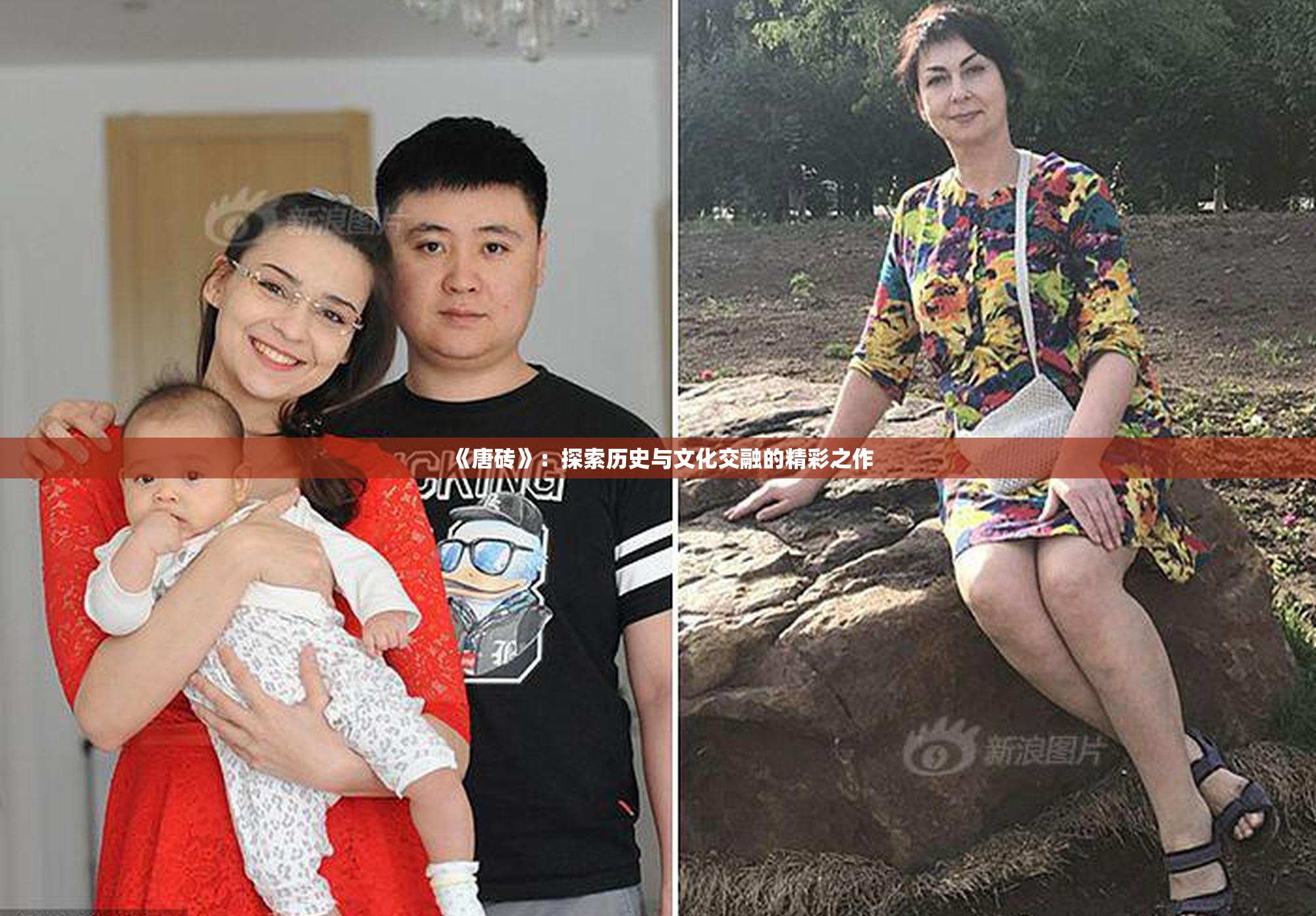 《唐砖》：探索历史与文化交融的精彩之作