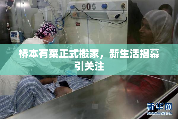 桥本有菜正式搬家，新生活揭幕引关注