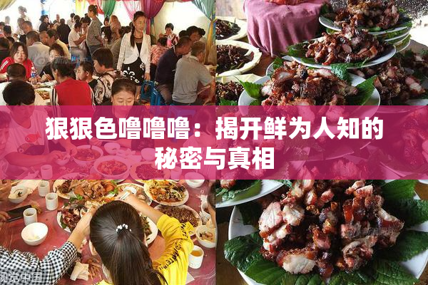 狠狠色噜噜噜：揭开鲜为人知的秘密与真相