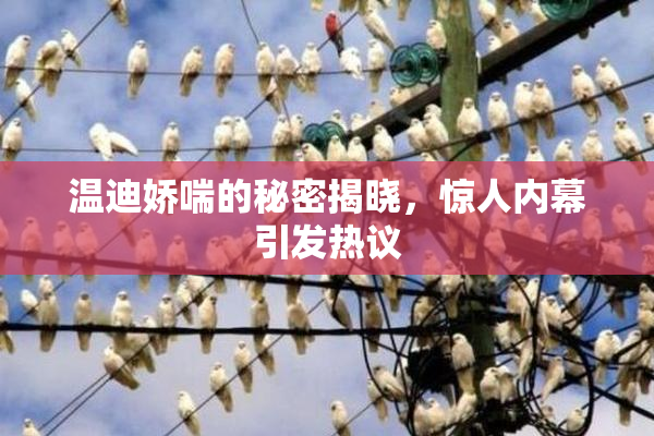 温迪娇喘的秘密揭晓，惊人内幕引发热议