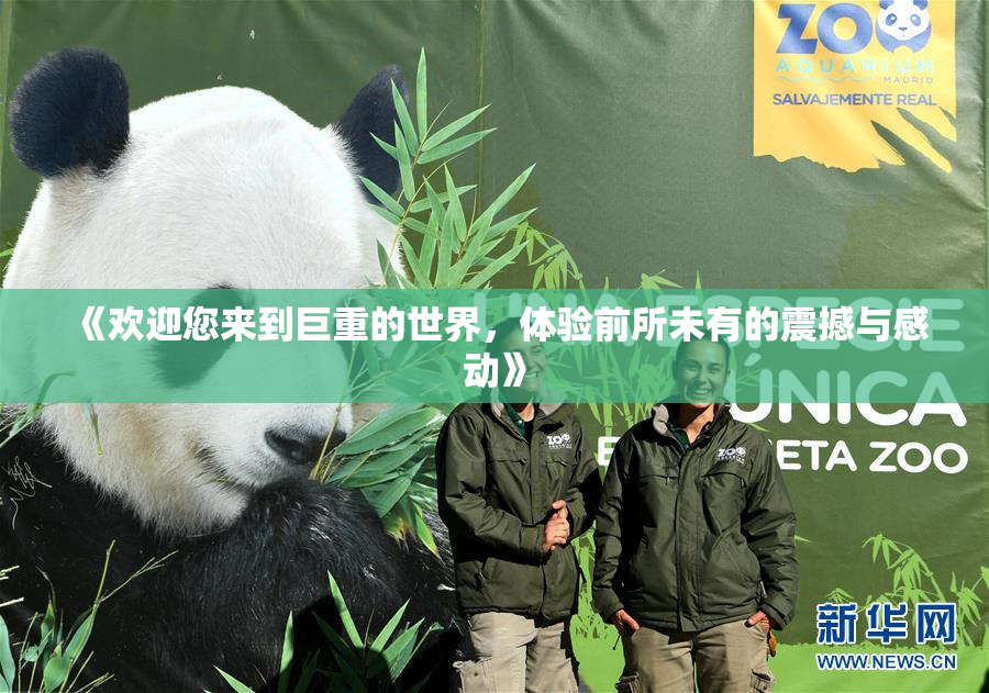 《欢迎您来到巨重的世界，体验前所未有的震撼与感动》