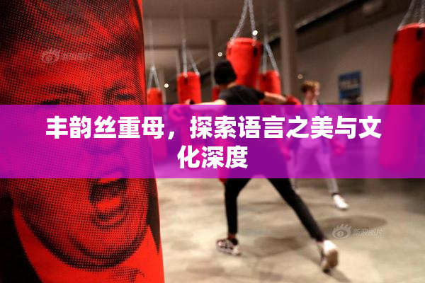 丰韵丝重母，探索语言之美与文化深度