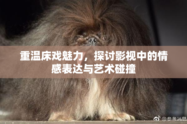 重温床戏魅力，探讨影视中的情感表达与艺术碰撞