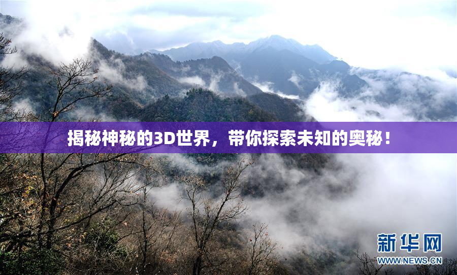 揭秘神秘的3D世界，带你探索未知的奥秘！