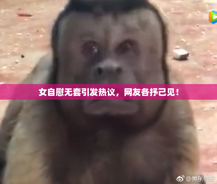 女自慰无套引发热议，网友各抒己见！