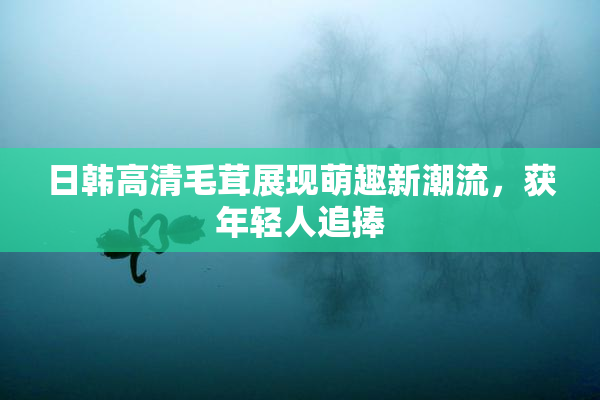 日韩高清毛茸展现萌趣新潮流，获年轻人追捧