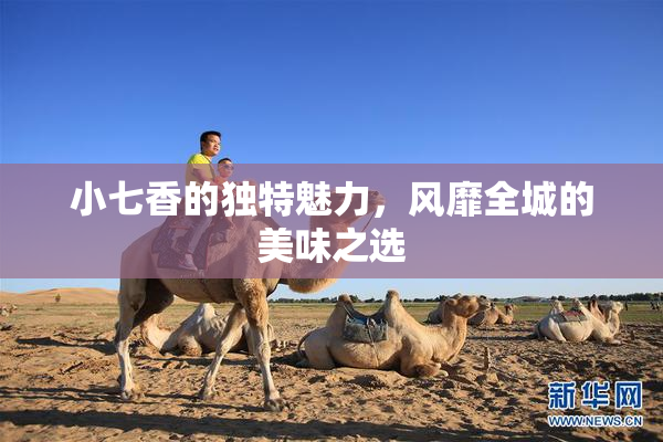小七香的独特魅力，风靡全城的美味之选