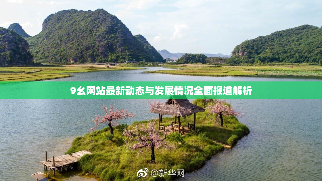 9幺网站最新动态与发展情况全面报道解析