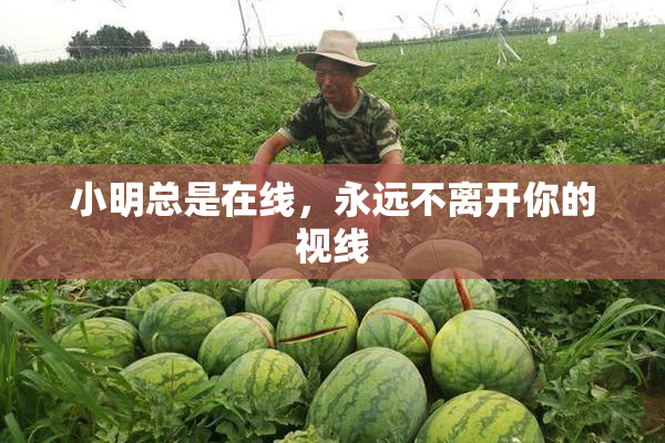 小明总是在线，永远不离开你的视线