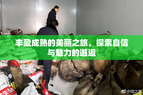 丰盈成熟的美丽之旅，探索自信与魅力的邂逅