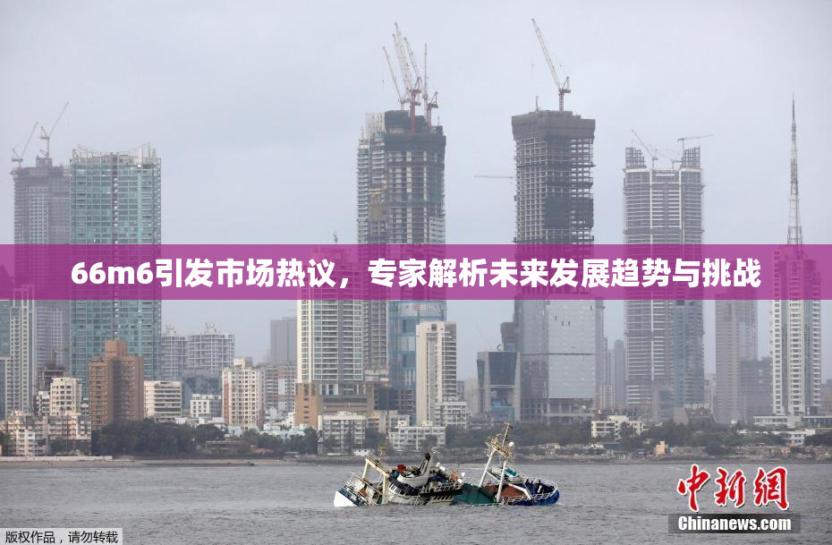 66m6引发市场热议，专家解析未来发展趋势与挑战