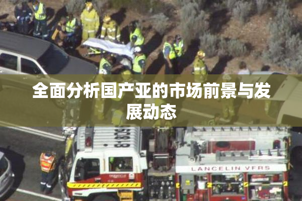 全面分析国产亚的市场前景与发展动态