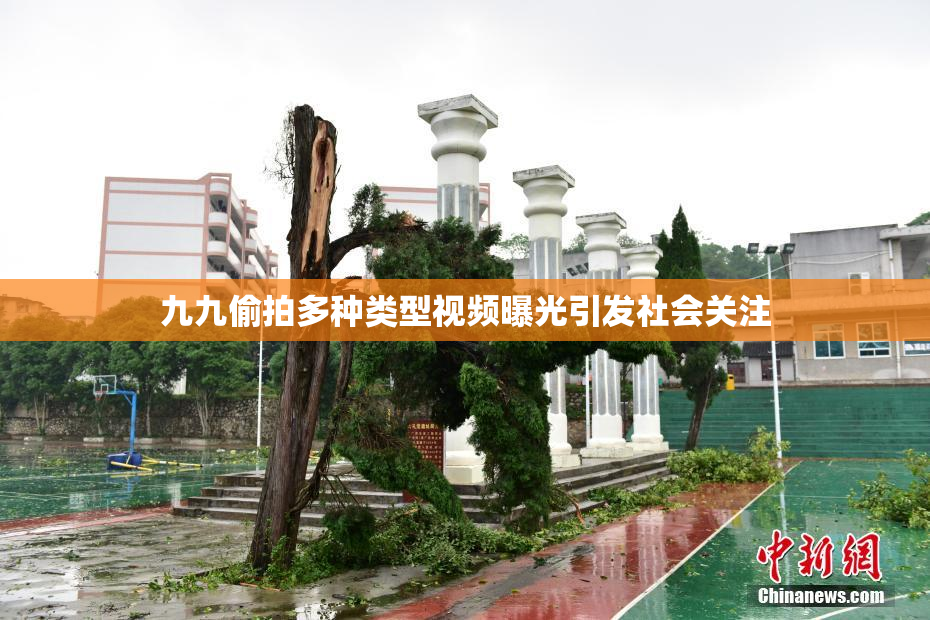 九九偷拍多种类型视频曝光引发社会关注