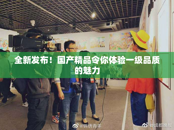 全新发布！国产精品令你体验一级品质的魅力