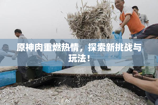 原神肉重燃热情，探索新挑战与玩法！