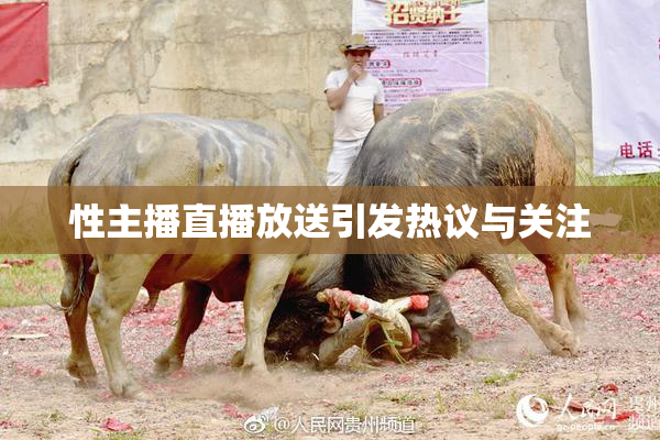 性主播直播放送引发热议与关注