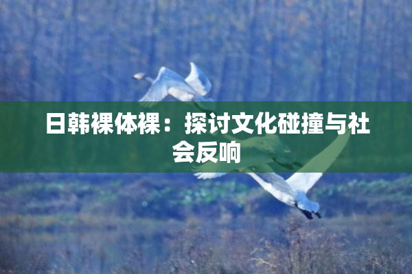 日韩裸体裸：探讨文化碰撞与社会反响