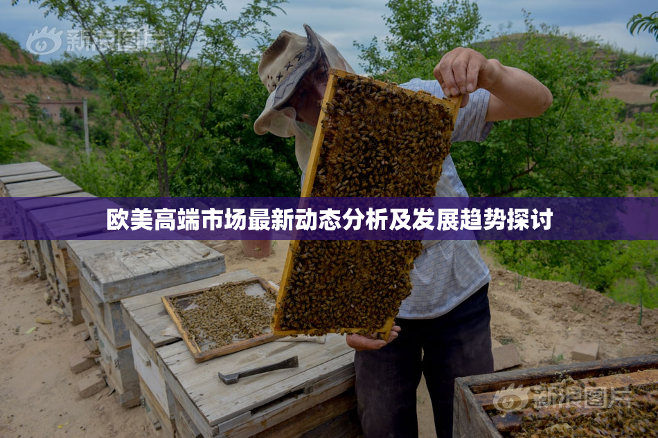 欧美高端市场最新动态分析及发展趋势探讨