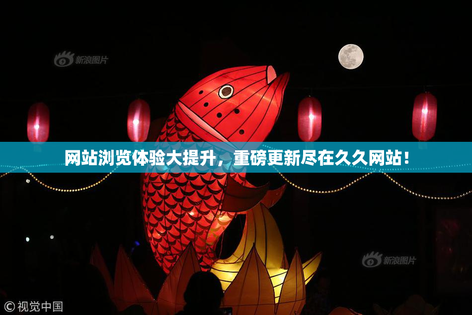 网站浏览体验大提升，重磅更新尽在久久网站！
