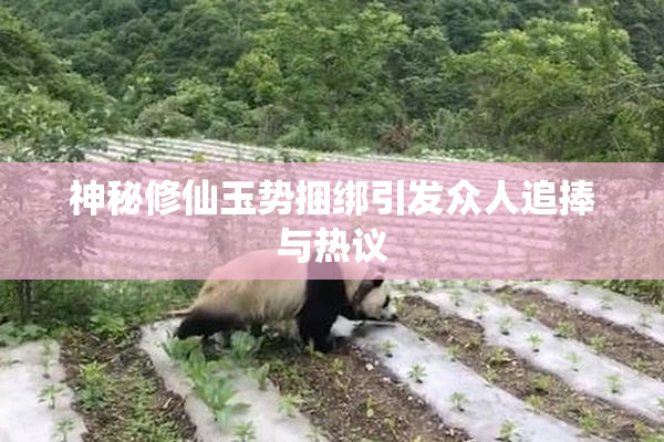 神秘修仙玉势捆绑引发众人追捧与热议