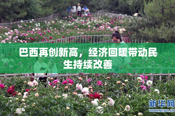 巴西再创新高，经济回暖带动民生持续改善