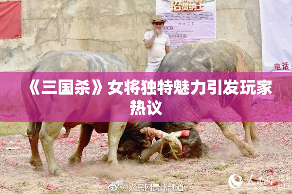 《三国杀》女将独特魅力引发玩家热议