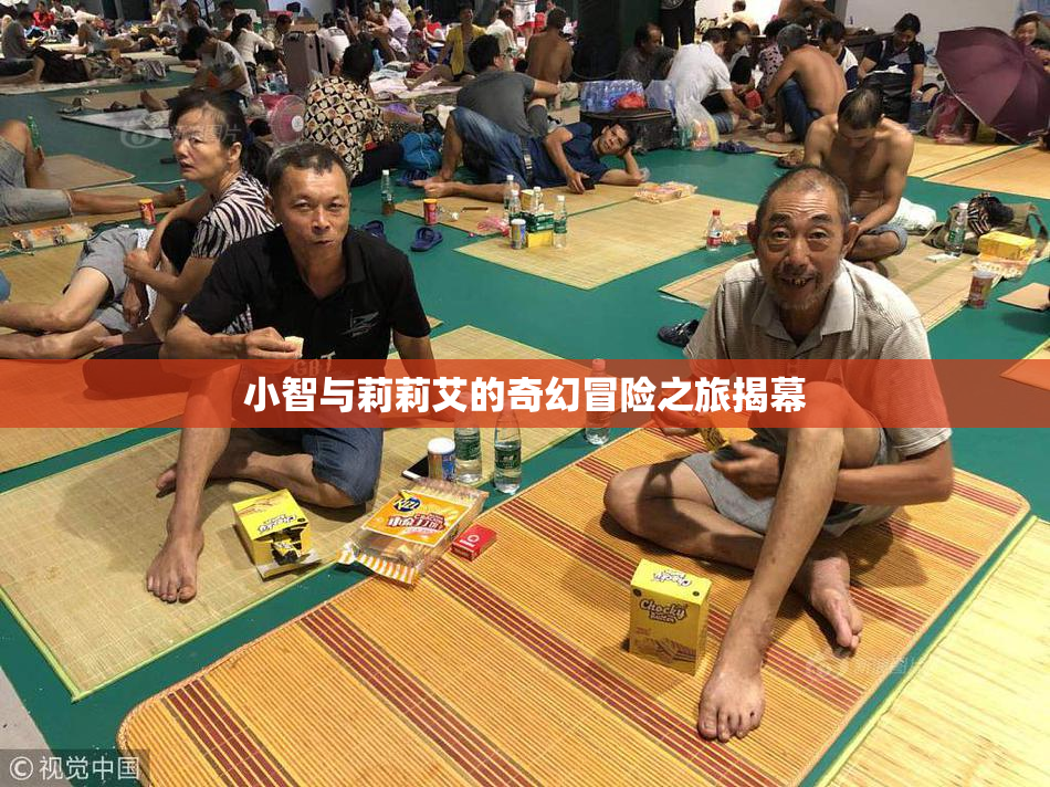 小智与莉莉艾的奇幻冒险之旅揭幕