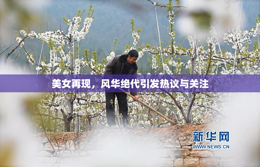 美女再现，风华绝代引发热议与关注