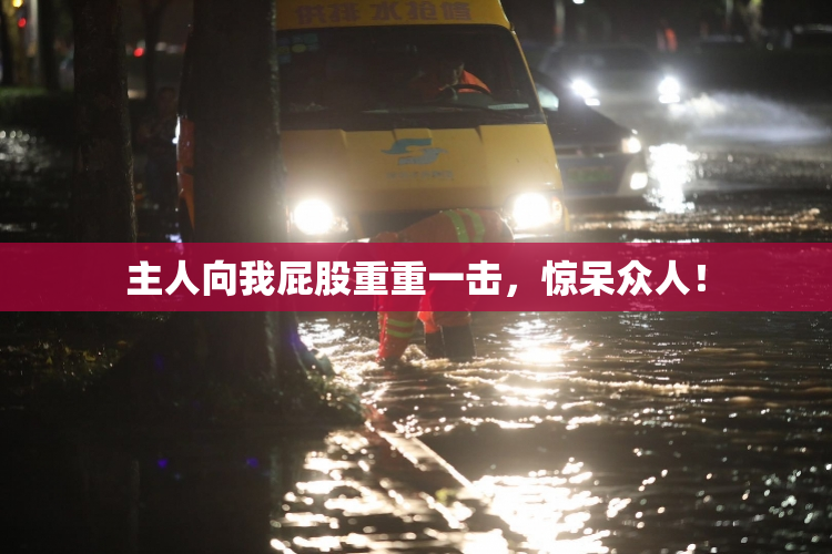 主人向我屁股重重一击，惊呆众人！