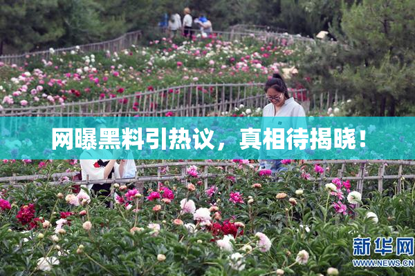 网曝黑料引热议，真相待揭晓！