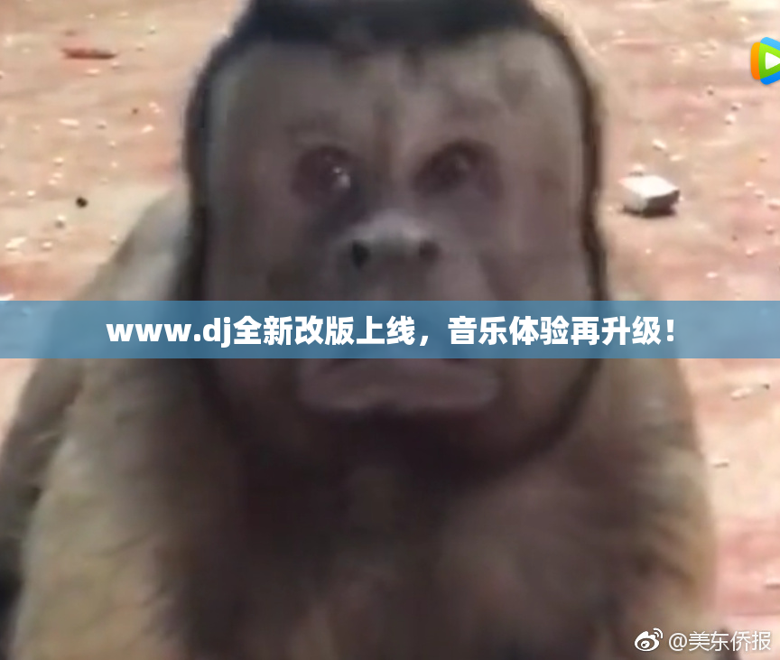 www.dj全新改版上线，音乐体验再升级！