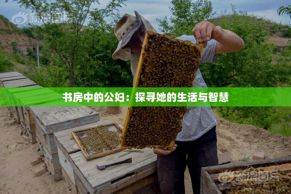 书房中的公妇：探寻她的生活与智慧