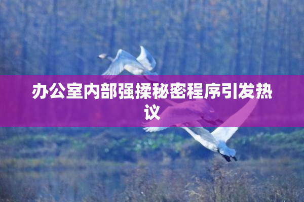 办公室内部强揉秘密程序引发热议