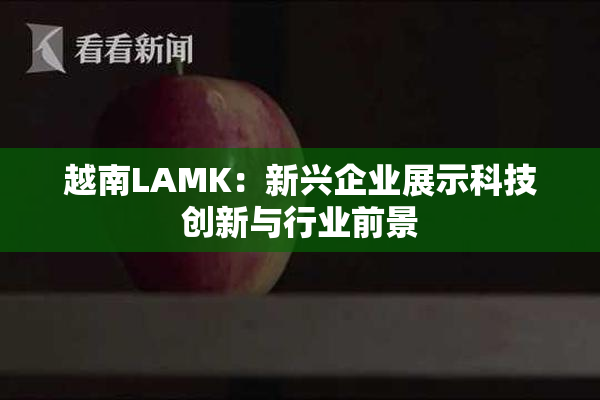 越南LAMK：新兴企业展示科技创新与行业前景