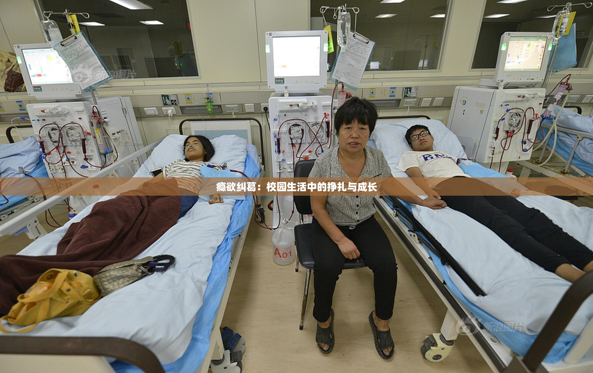 瘾欲纠葛：校园生活中的挣扎与成长