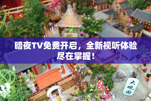 暗夜TV免费开启，全新视听体验尽在掌握！
